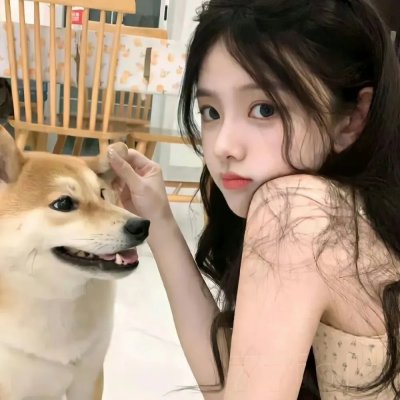 银狐传说